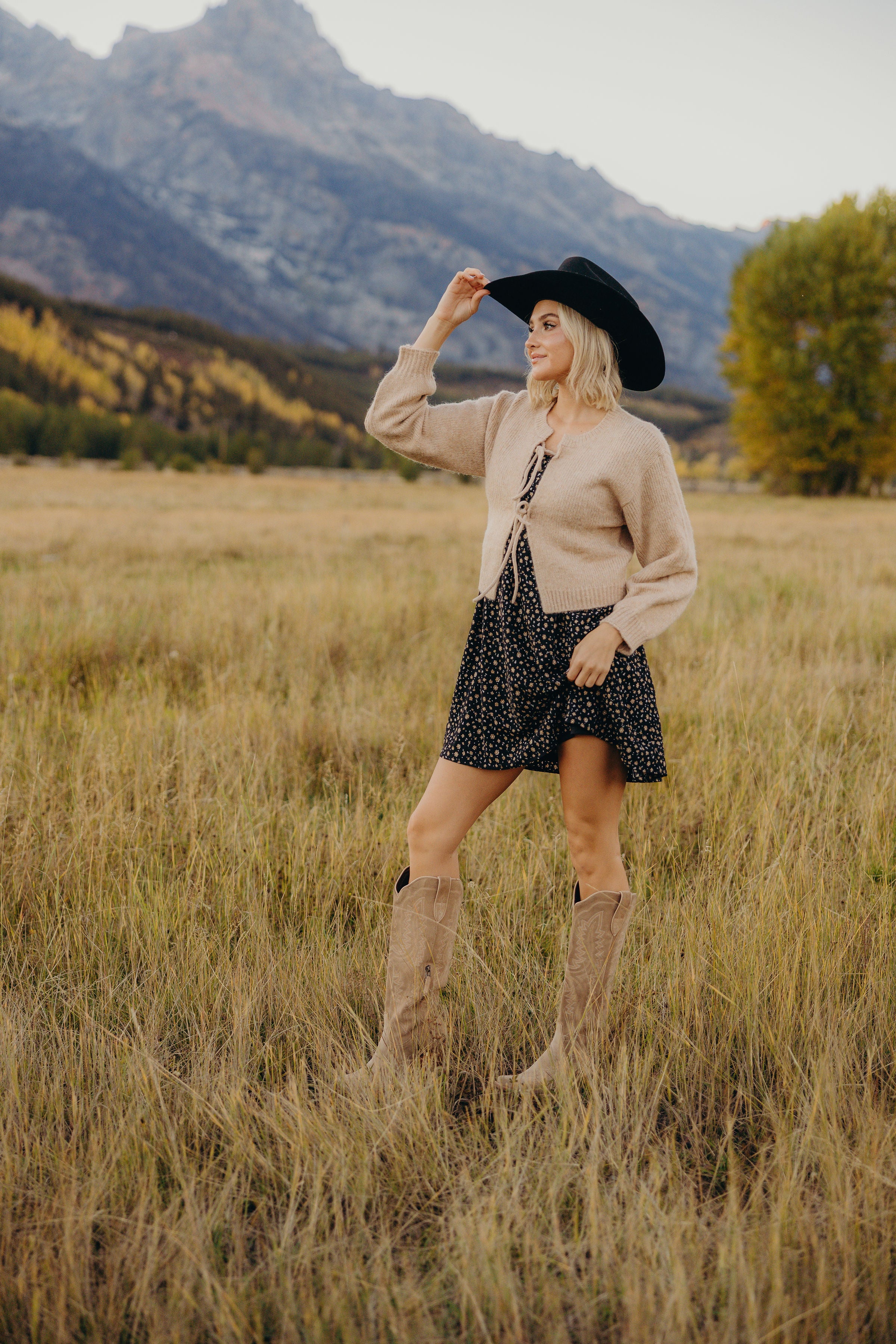 BOW FRONT CROP SWEATER IN VANILLA CUSTARD