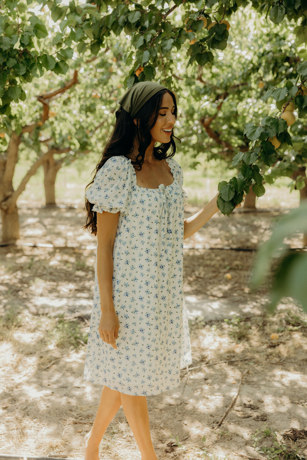 THE MITCHELL IN BLUE BUNDLES