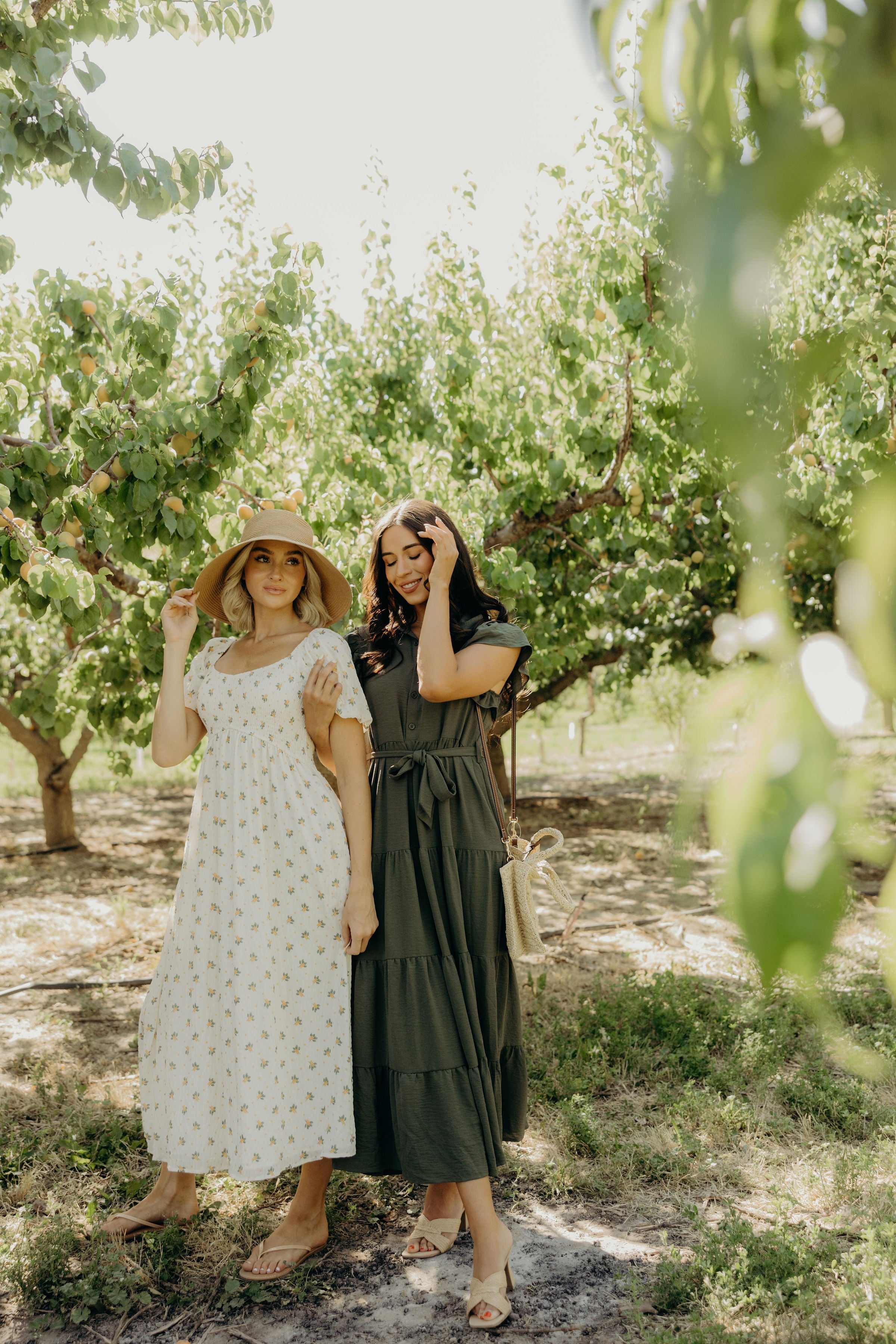 THE GOLDIE IN HIDDEN FALLS