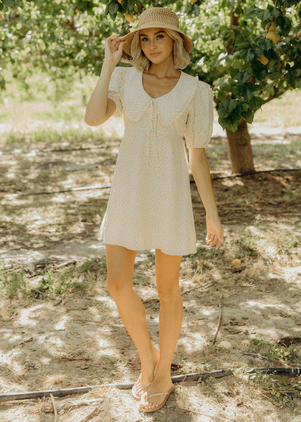 THE LYLA IN PIXIE PETALS FINAL SALE