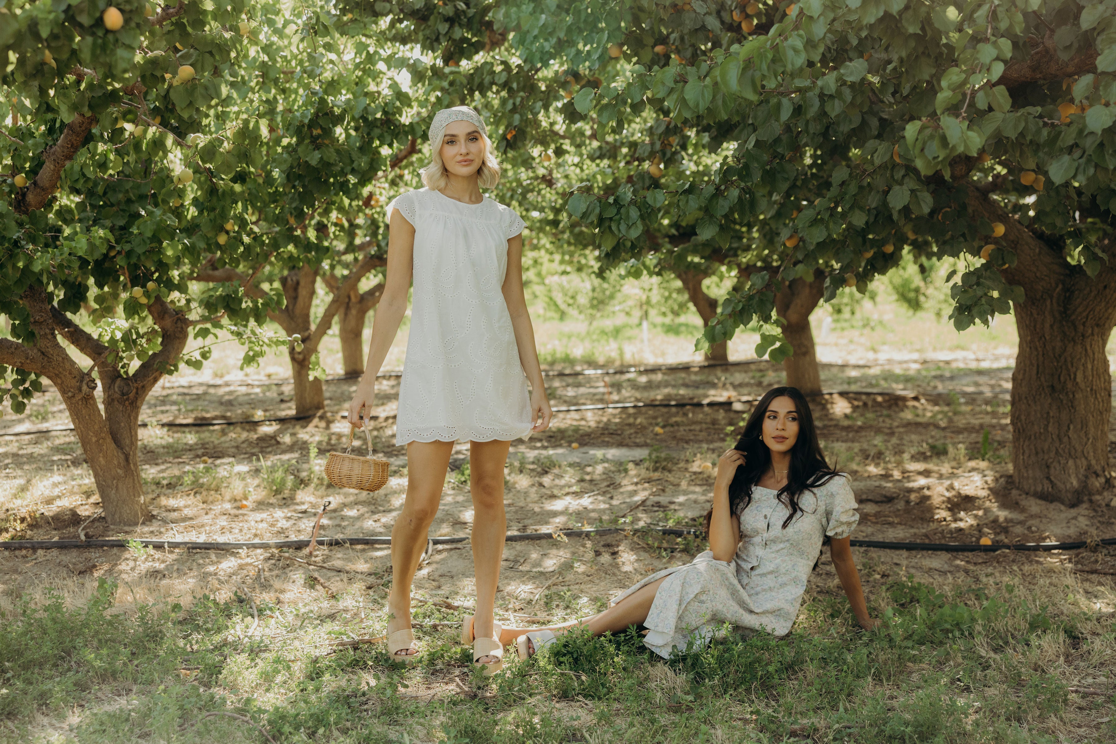 THE ELTON IN TULIP KISSES