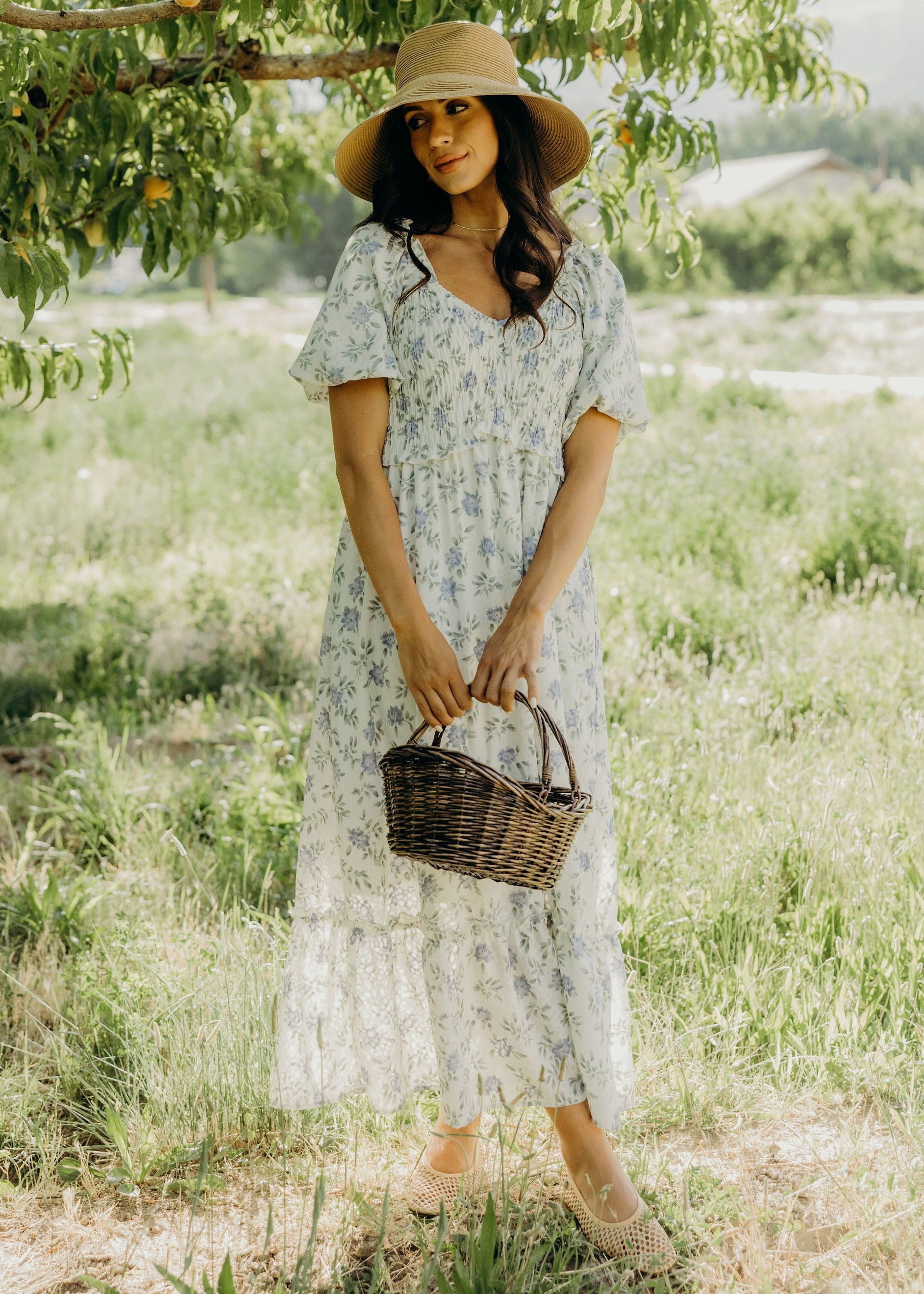 THE JENSEN IN WISTERIA BUD