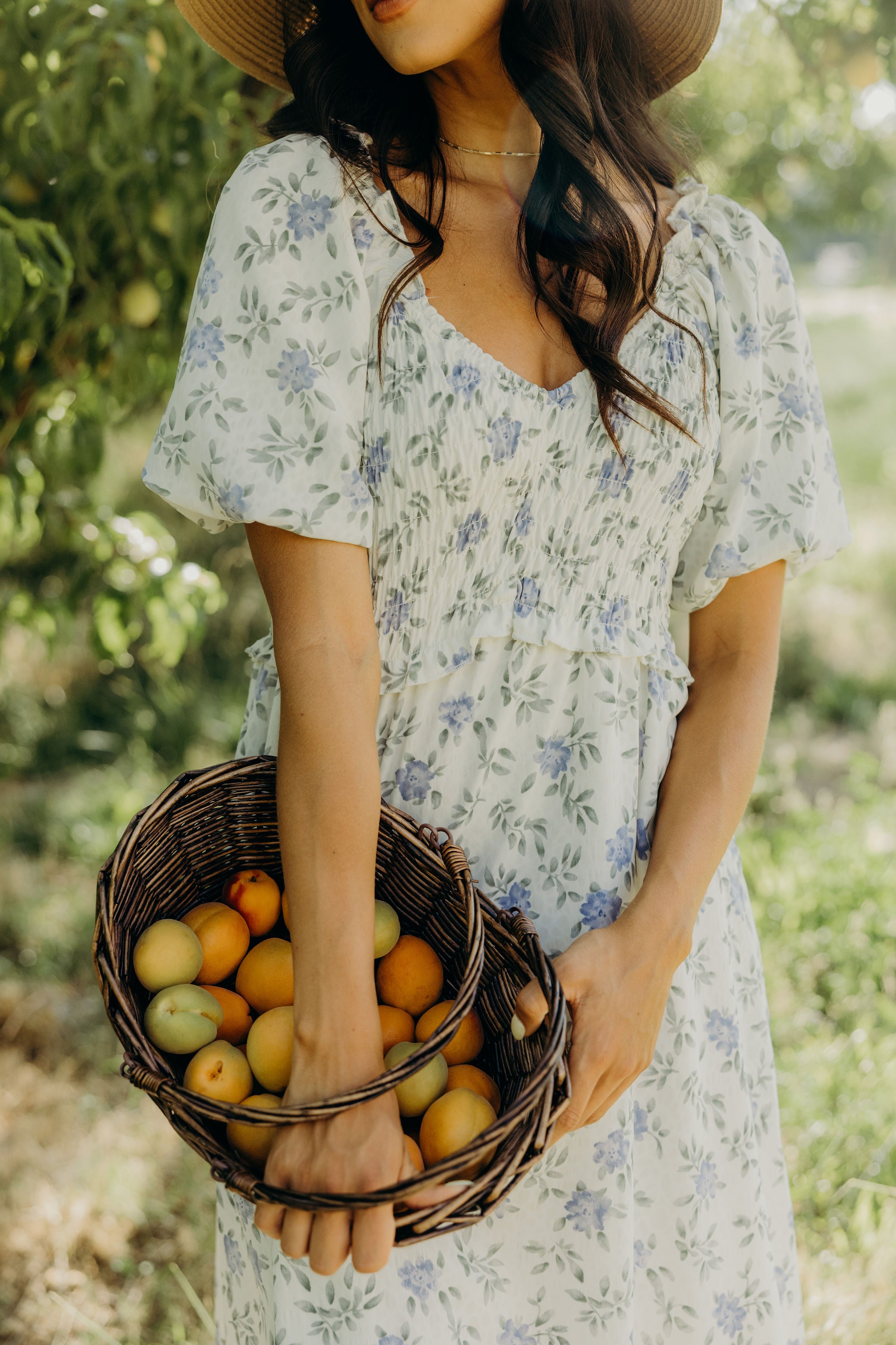 THE JENSEN IN WISTERIA BUD