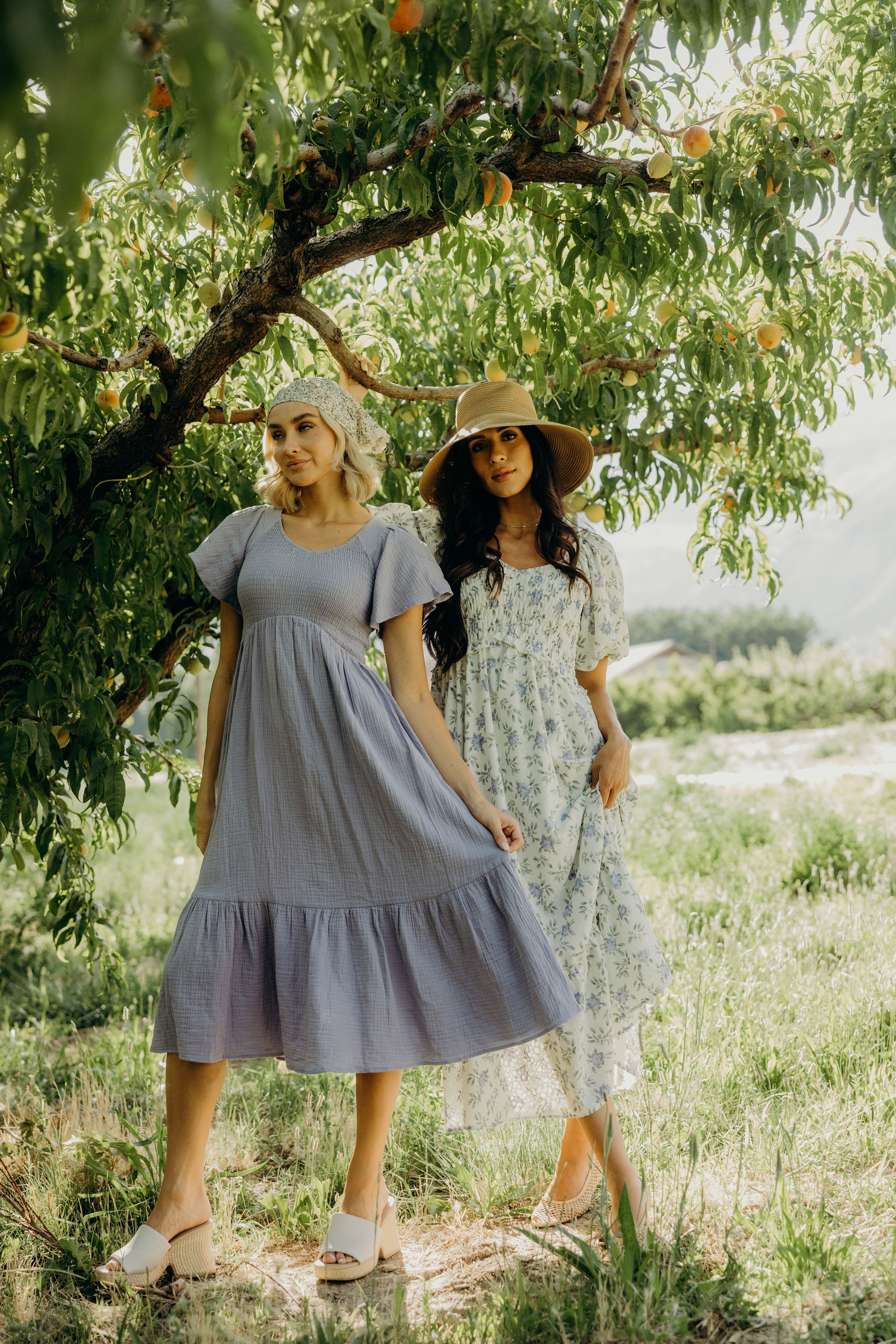 THE KENDALL IN ENCHANTED