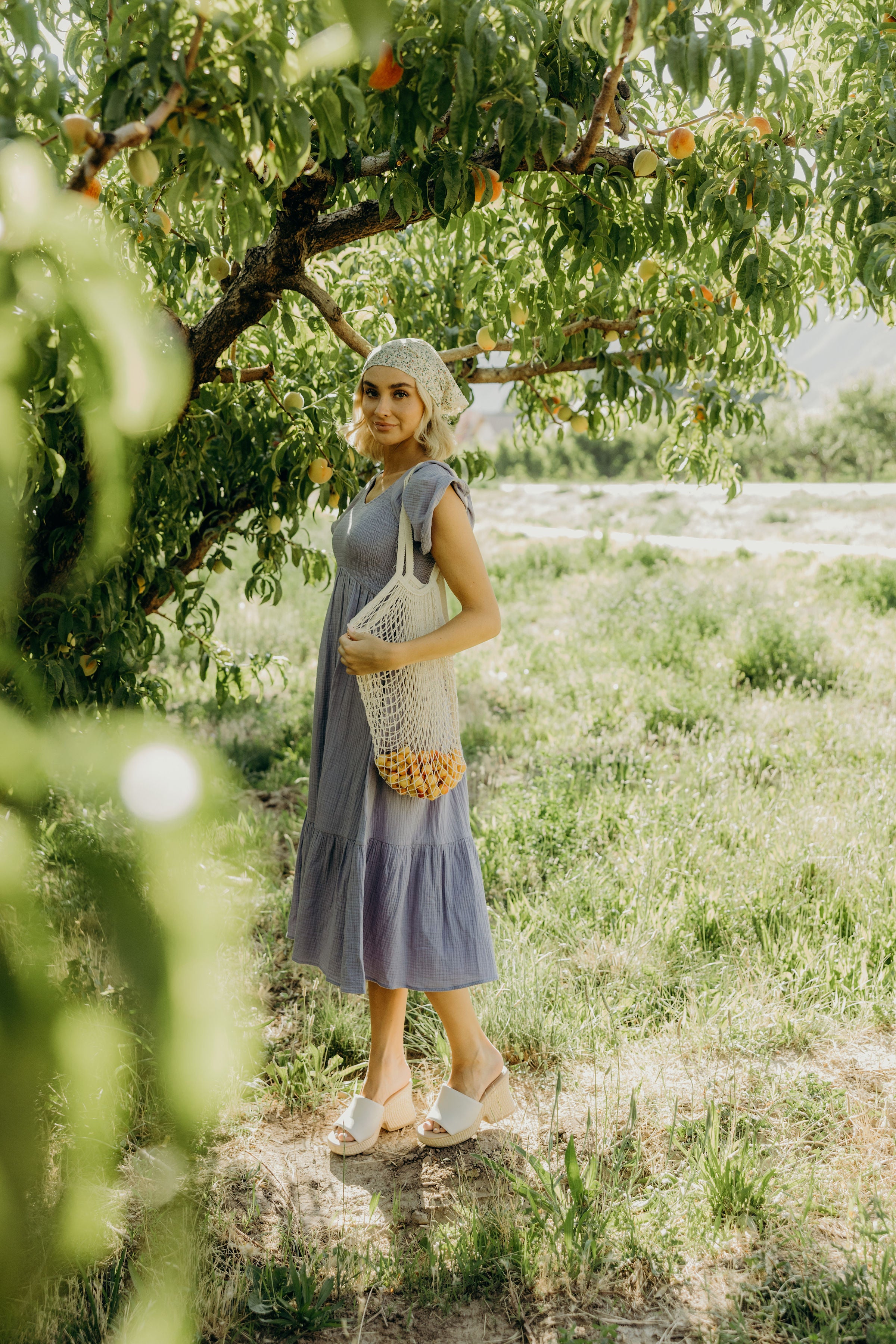 THE KENDALL IN ENCHANTED