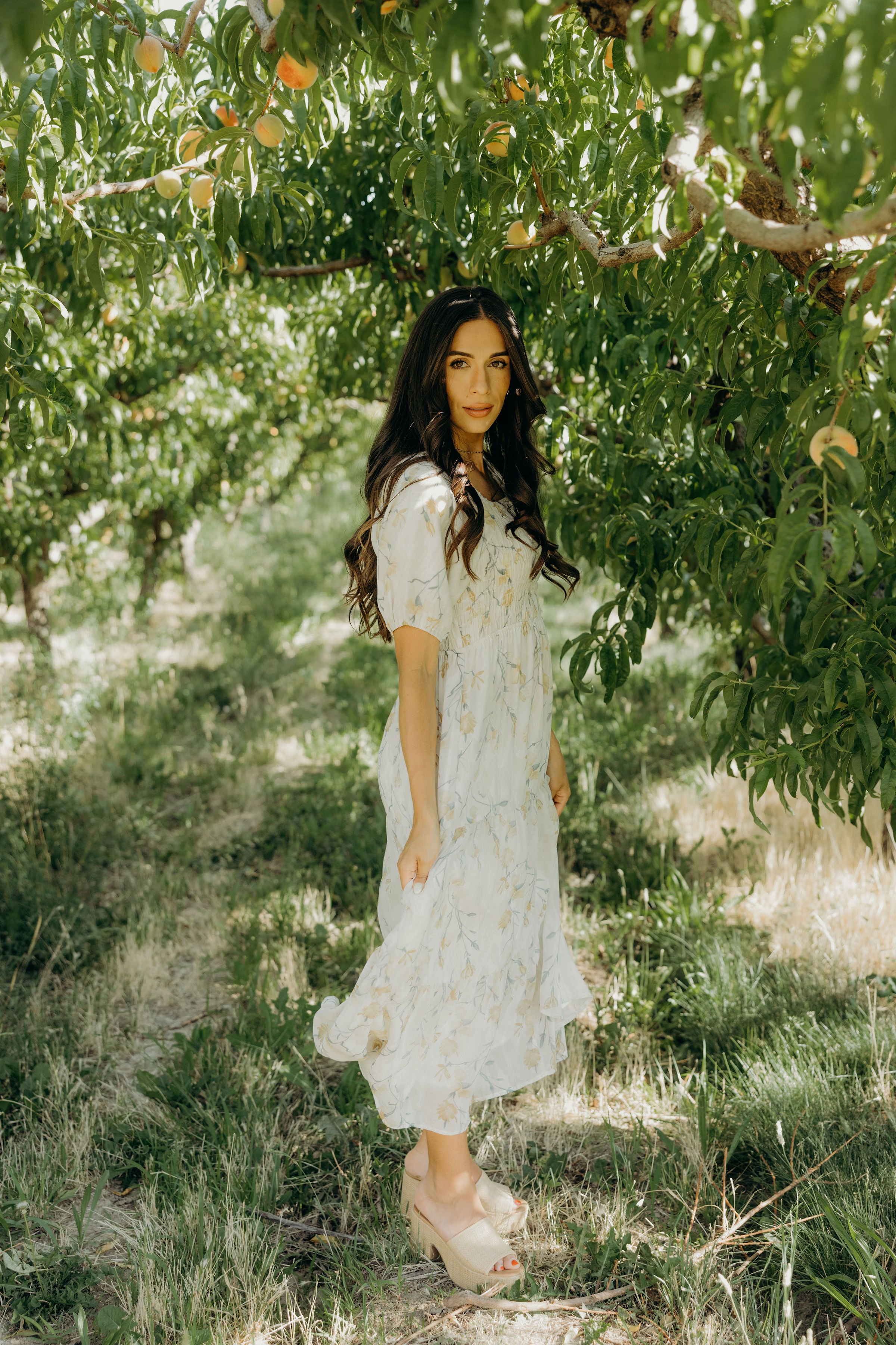 THE INDY IN DEWLIGHT GARDEN