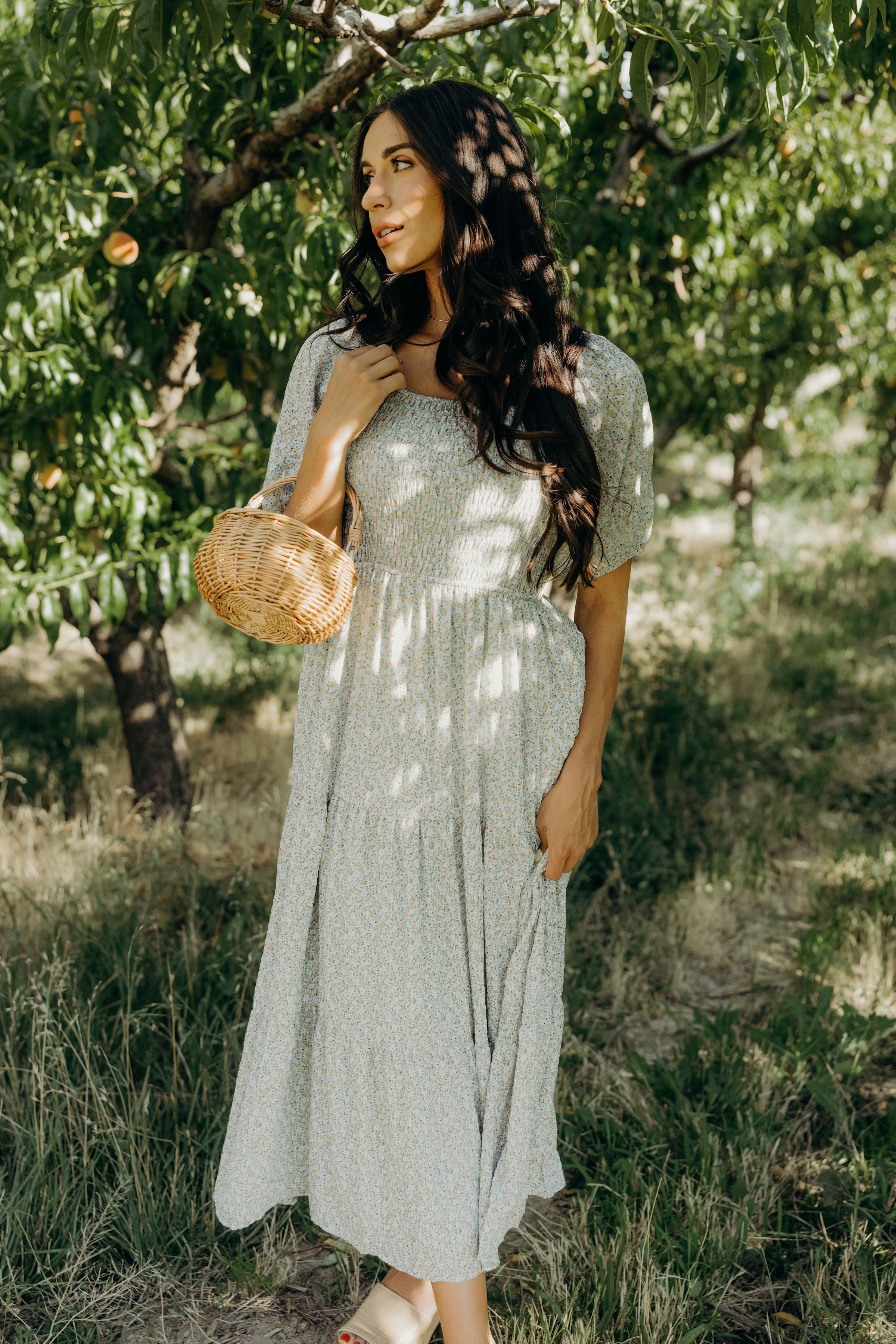 THE INDY IN HONEYBLOOM