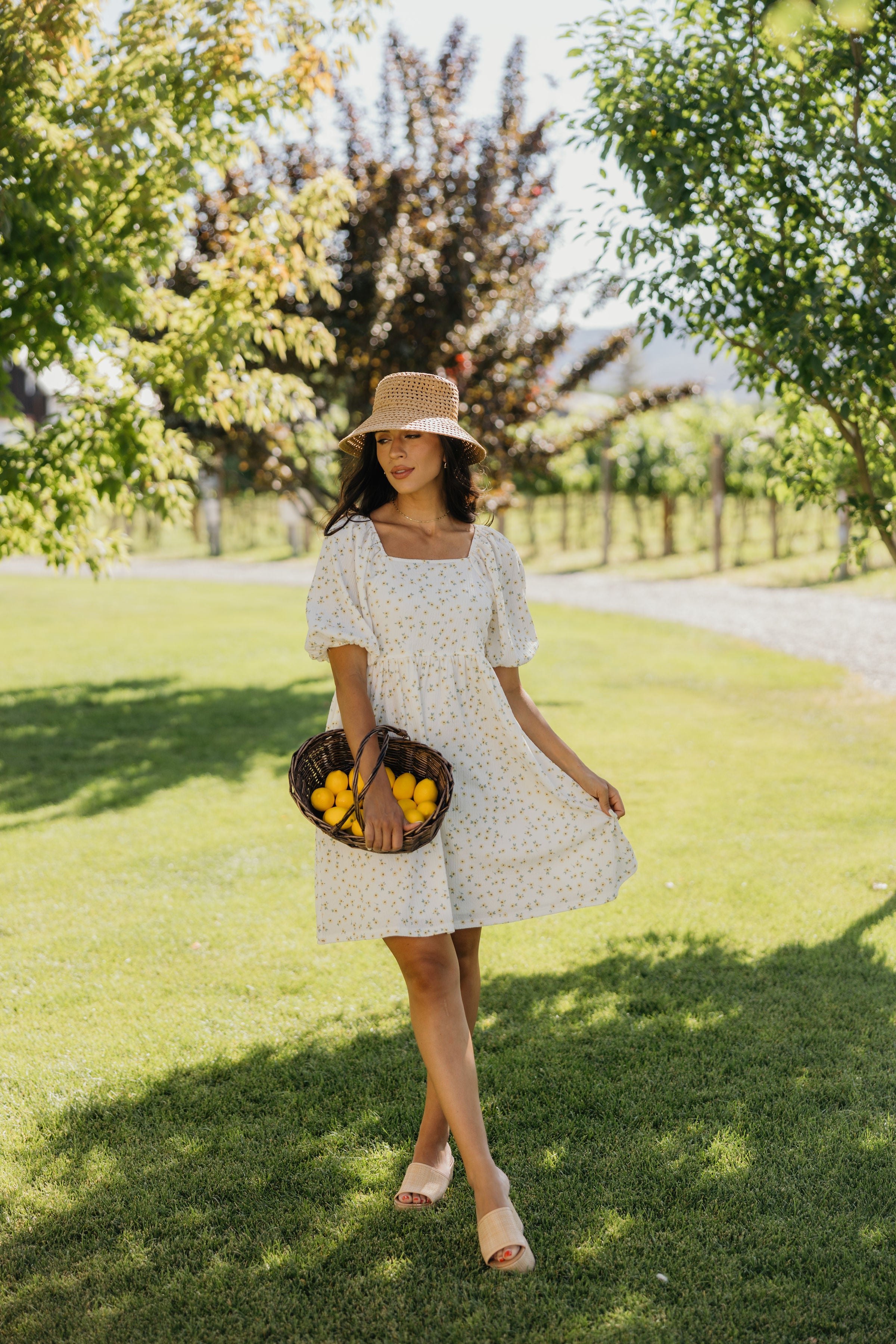 THE HAYES IN SUNNYSIDE