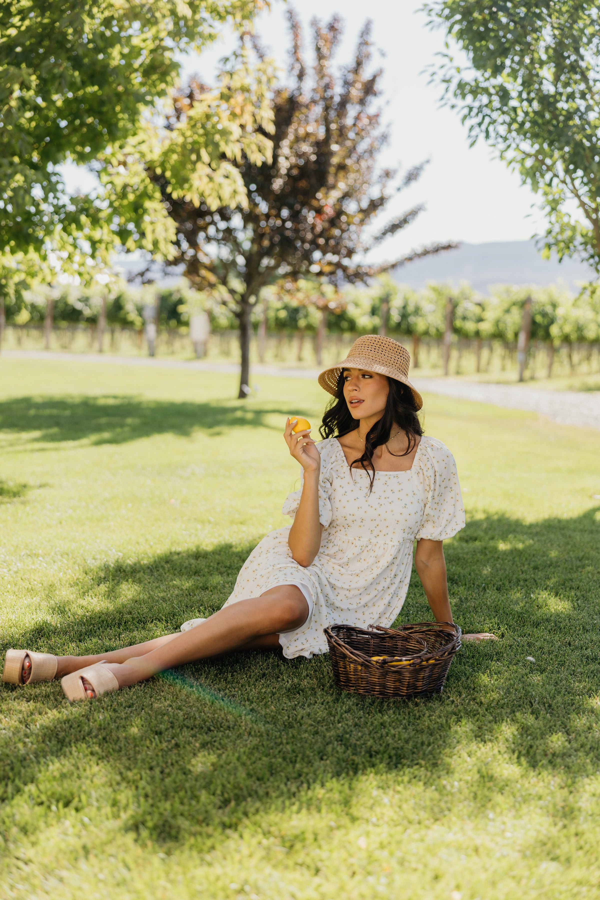 THE HAYES IN SUNNYSIDE