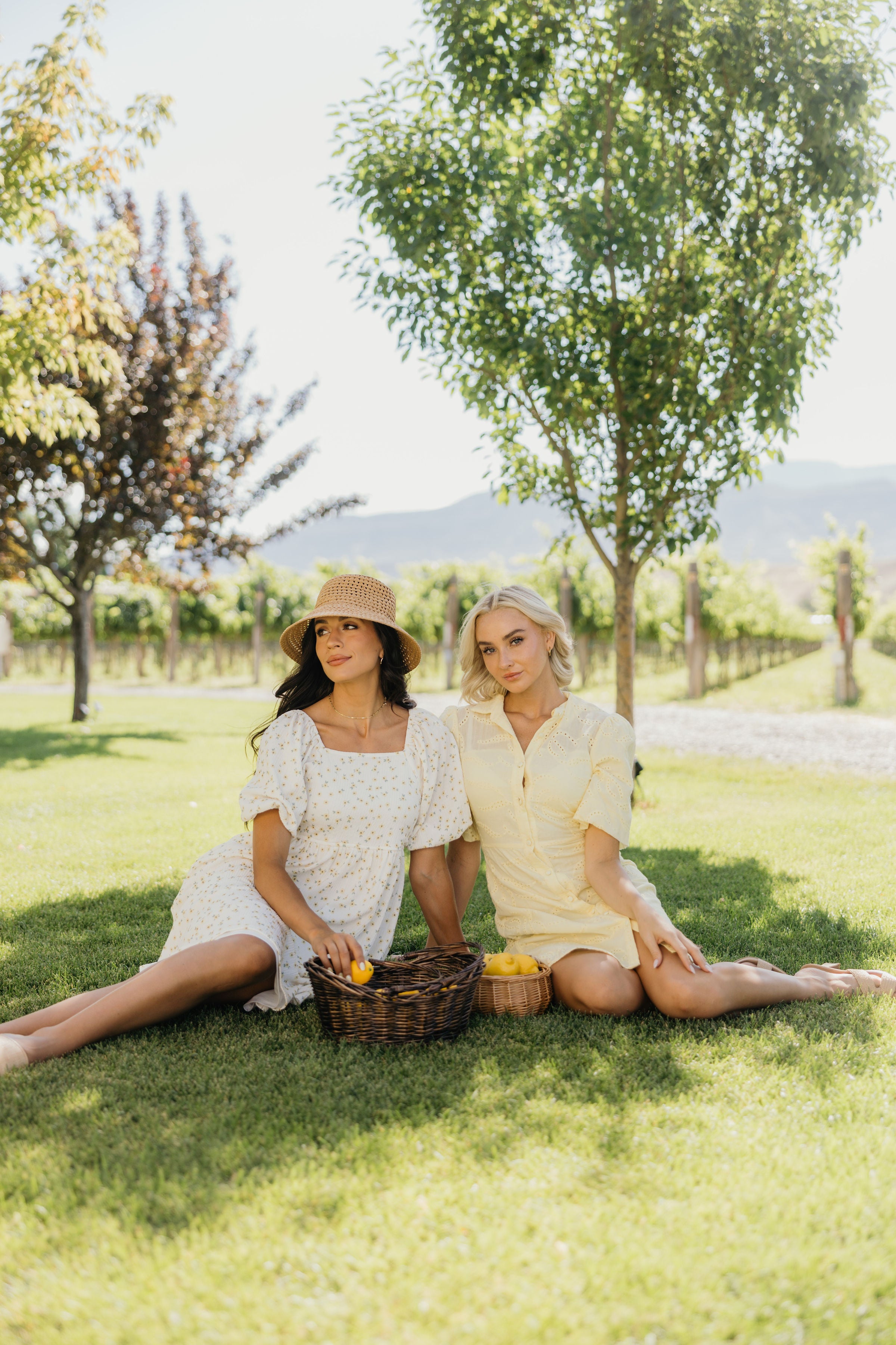 THE HAYES IN SUNNYSIDE