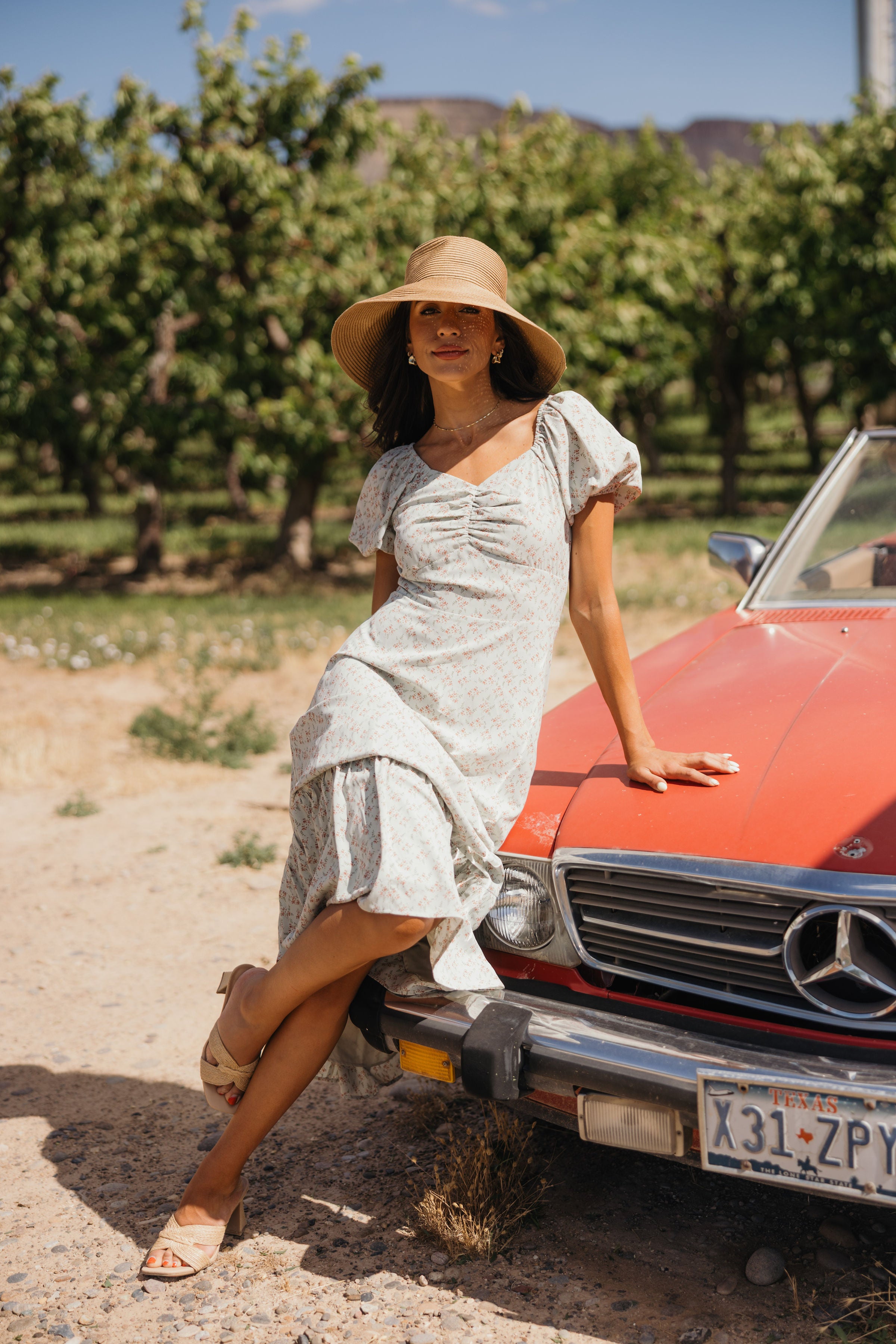 THE HAWTHORN IN PALE PISTACHIO