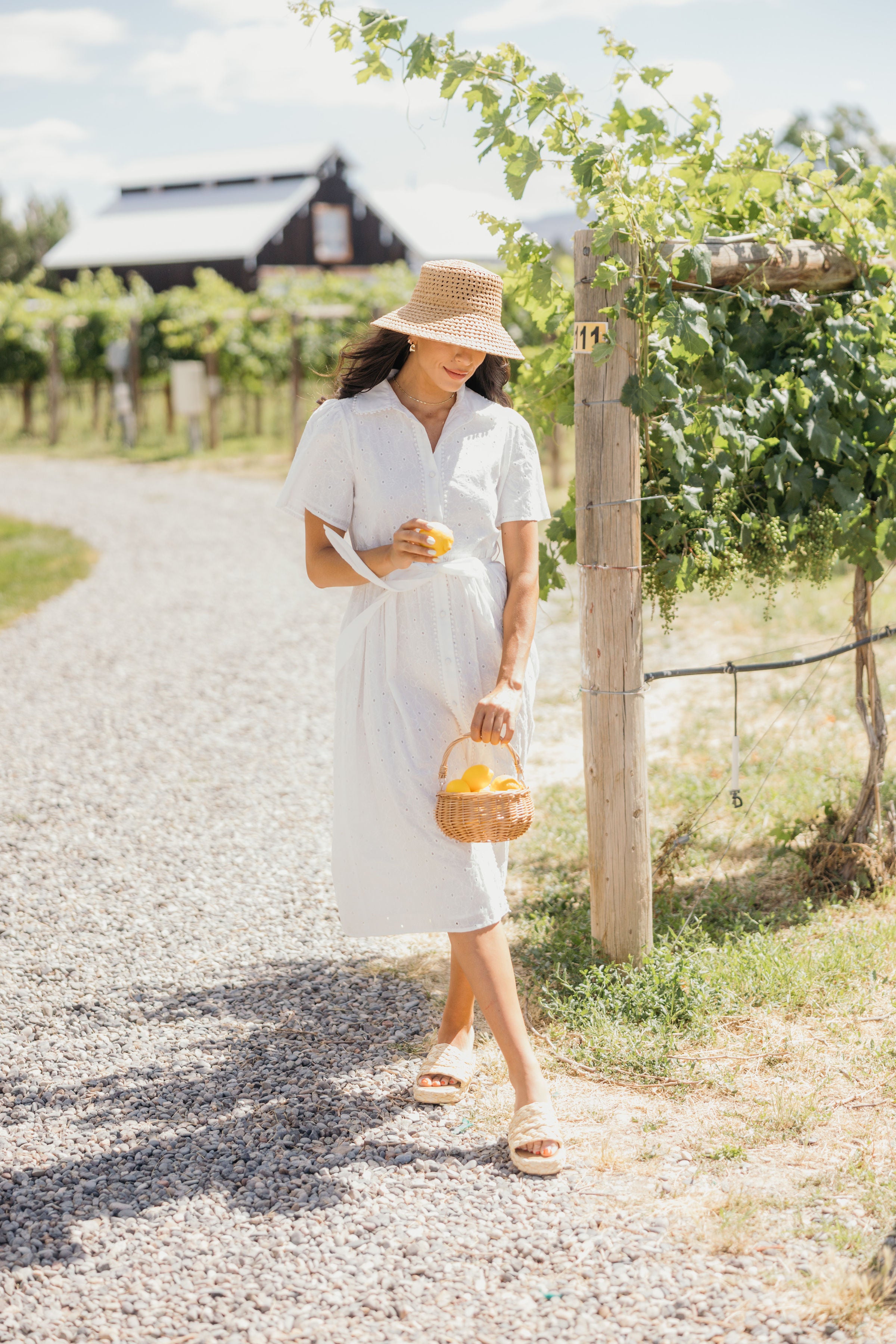 THE COSETTE IN WHITE