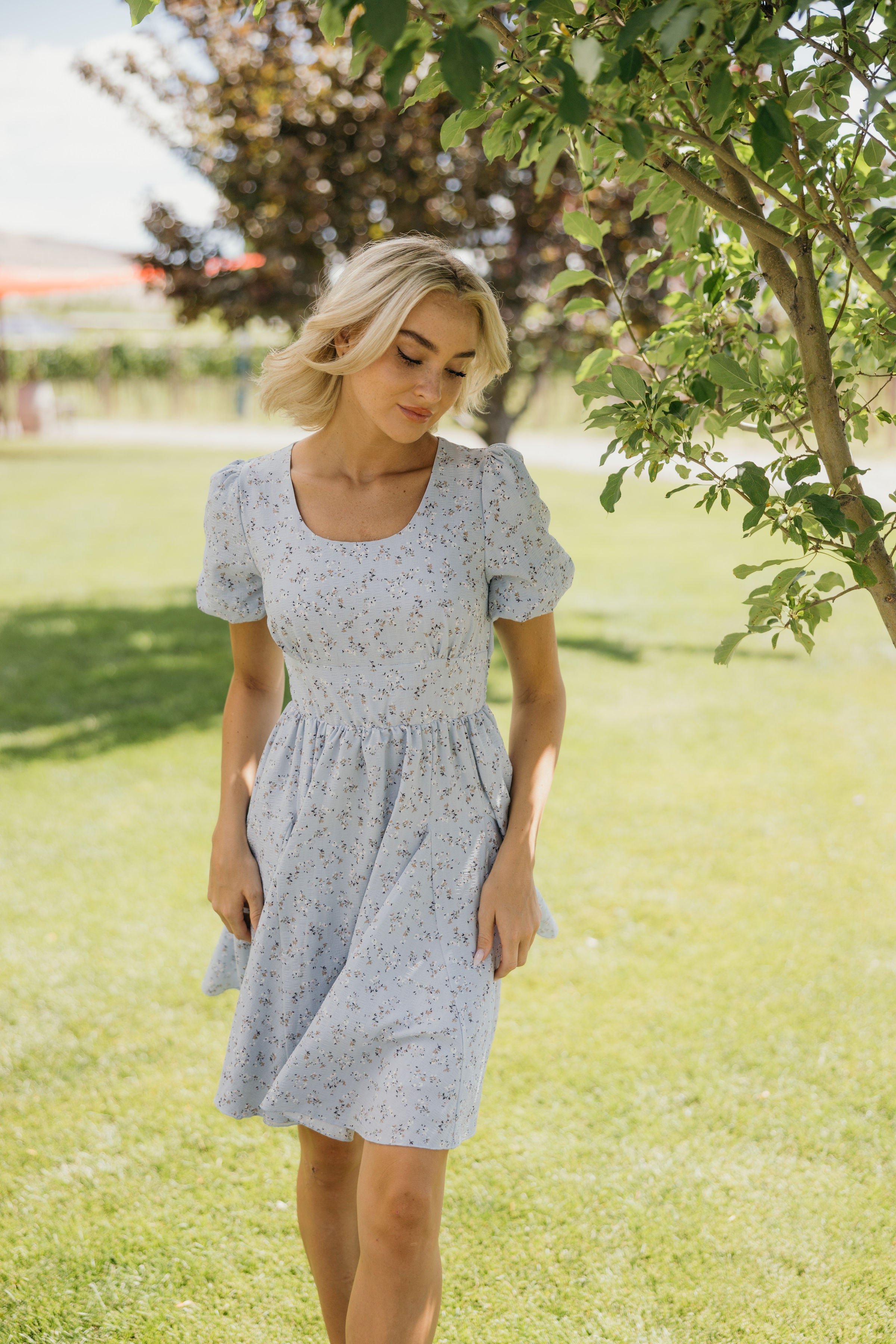 THE TYLER IN WHISPER SKY